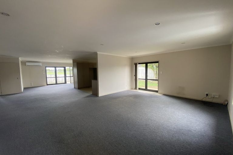 Photo of property in 17 Finchley Place, Hamilton East, Hamilton, 3216