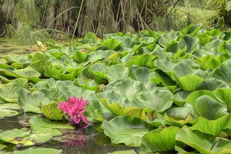 Photo of property in 56b Te Puna Road, Te Puna, Tauranga, 3174
