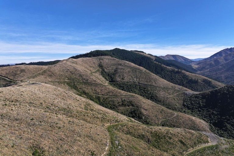 Photo of property in 49 Te Moana Road, Waikanae Beach, Waikanae, 5036