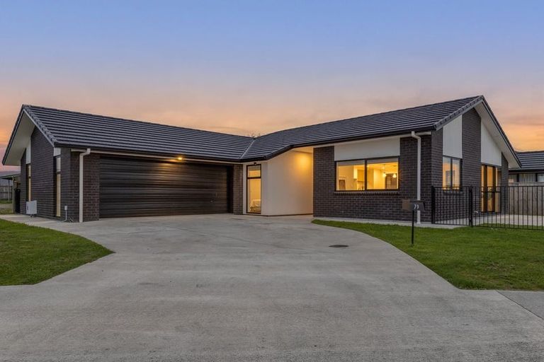 Photo of property in 79 Hinemoa Street, Levin, 5510