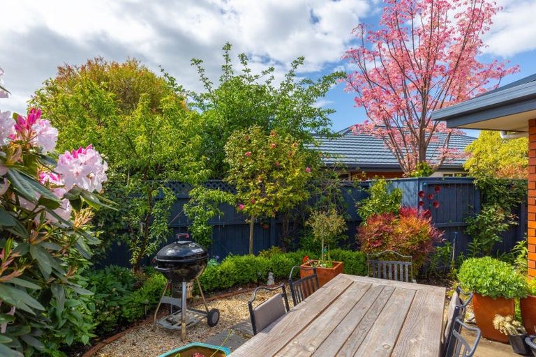 Photo of property in 12c Carvell Street, Blenheim, 7201