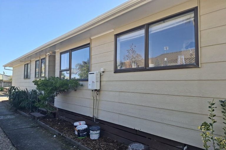 Photo of property in 4 Pearl Place, Chartwell, Hamilton, 3210