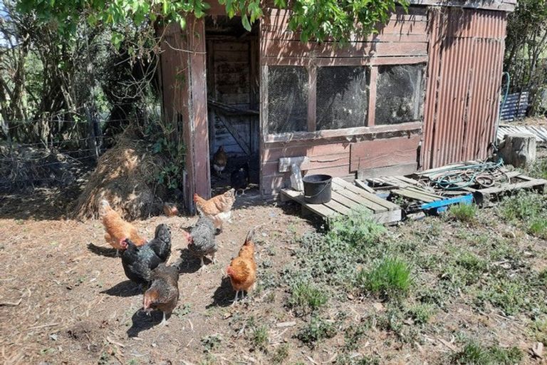 Photo of property in 29 Berwick Road, Clarendon, Outram, 9073