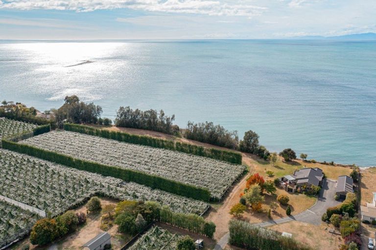 Photo of property in 16 Wharf Road, Riwaka, Motueka, 7198