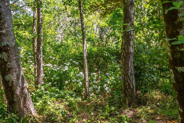 Photo of property in 15 Woodlands Way, Greytown, 5712