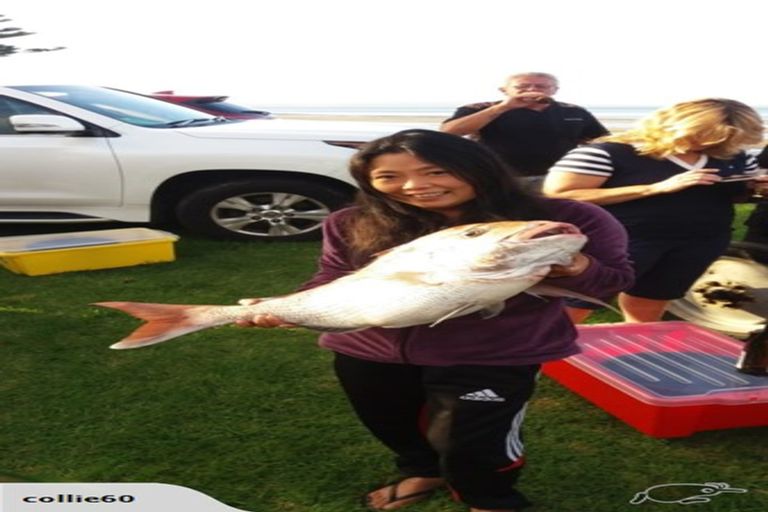 Photo of property in 2 Seaview Terrace, Manukau Heads, Waiuku, 2684