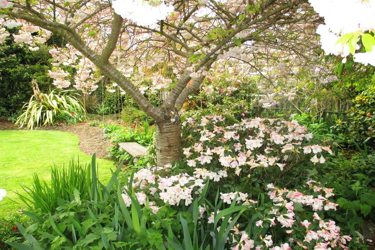 Photo of property in 8 Fergusson Street, Geraldine, 7930