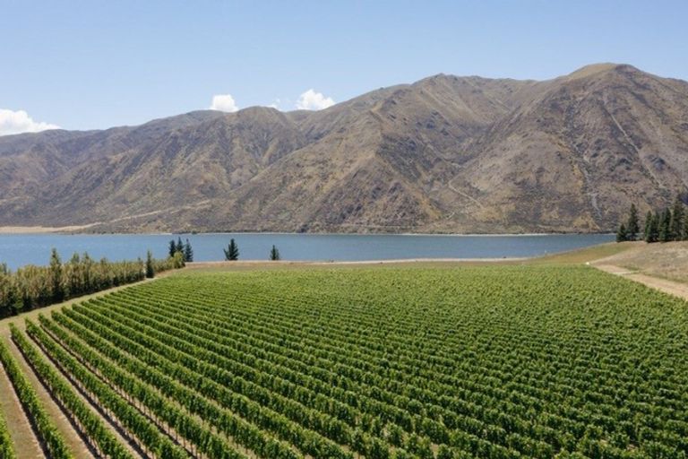 Photo of property in 49 Awahokomo Road, Kurow, 9435