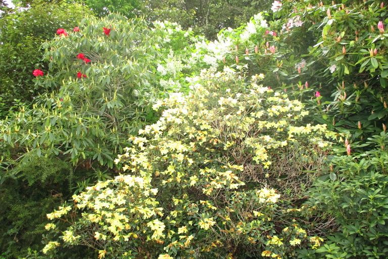 Photo of property in 8 Fergusson Street, Geraldine, 7930