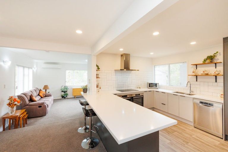 Photo of property in 481 Ruahine Street, Terrace End, Palmerston North, 4410