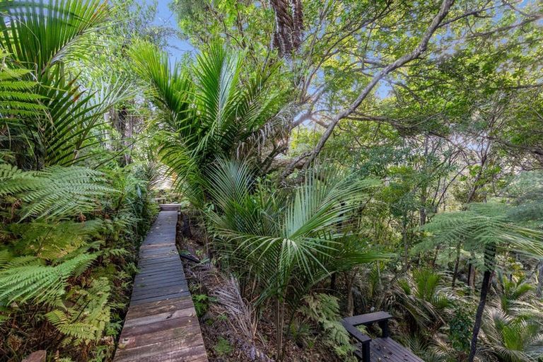 Photo of property in 23 Punga Place, Whitianga, 3510