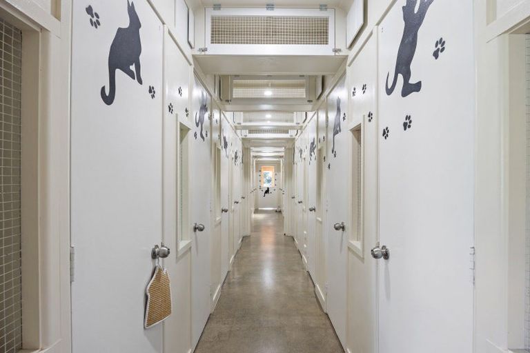 Photo of property in 52 Church Street, Oxford, 7430