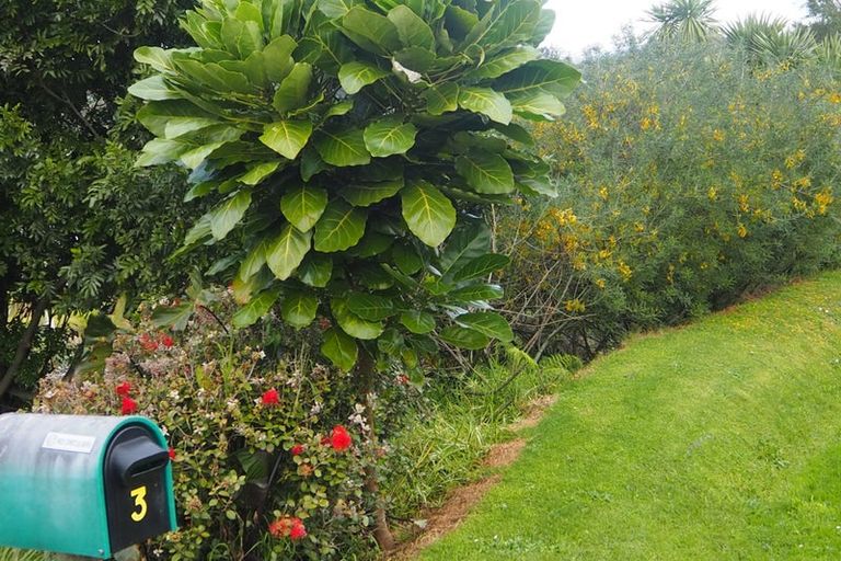 Photo of property in 212a Plummers Point Road, Whakamarama, 3172