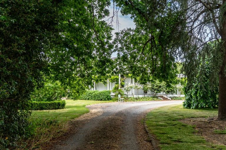 Photo of property in 231 Masterton Castlepoint Road, Te Ore Ore, Masterton, 5886