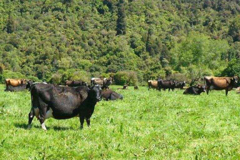 Photo of property in 47 Inwoods Road, Parklands, Christchurch, 8083