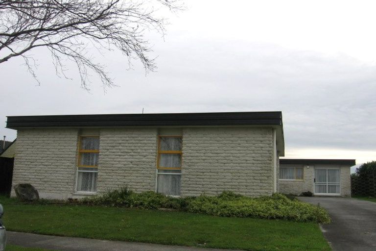 Photo of property in 113 Benmore Avenue, Cloverlea, Palmerston North, 4412