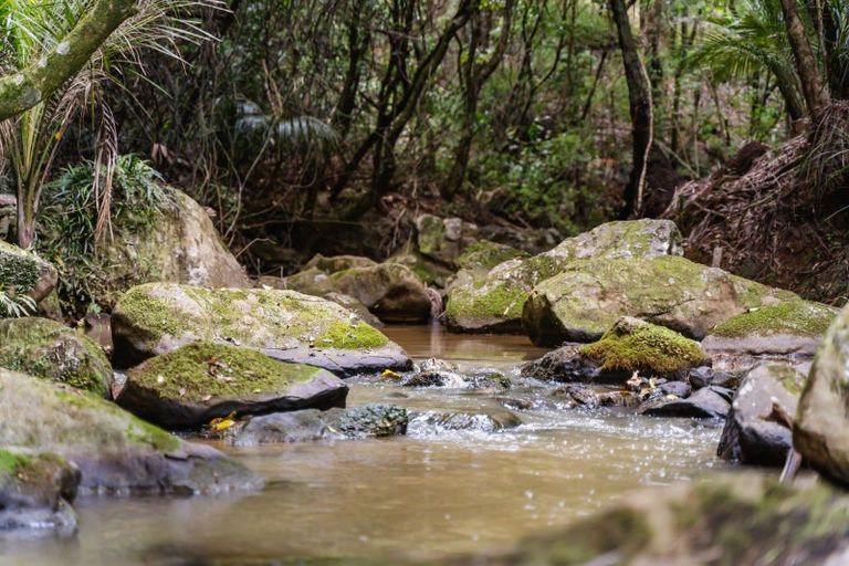 Photo of property in 76 Forest View Road, Te Kamo, Kamo, 0185