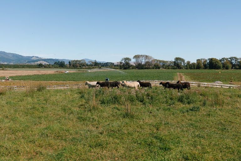 Photo of property in 111a Muhunoa Road West, Ohau, 5570