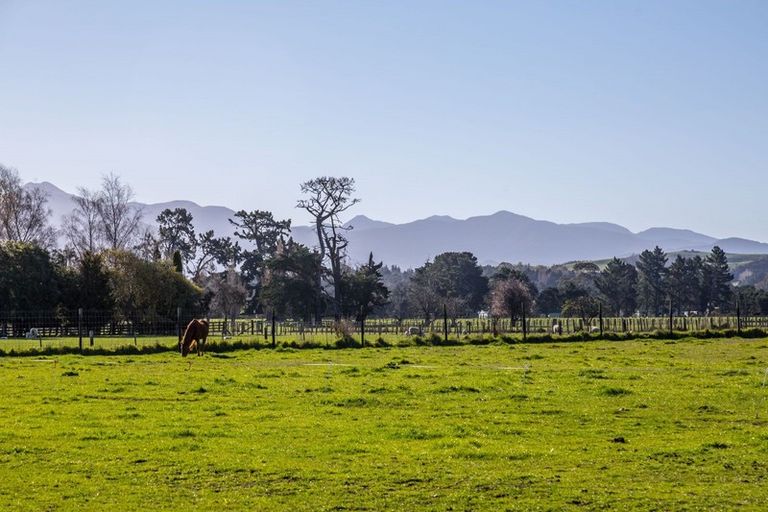 Photo of property in 255 West Bush Road, Upper Plain, Masterton, 5888