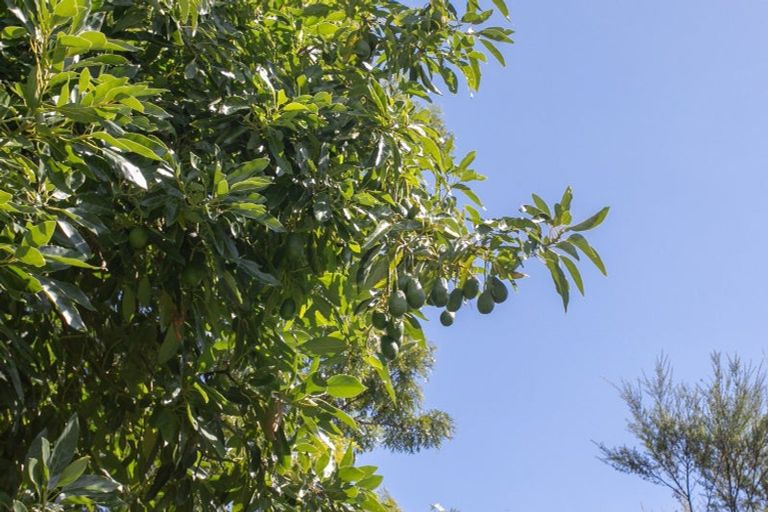 Photo of property in 5 Rewa Rewa Valley, Tairua, 3508