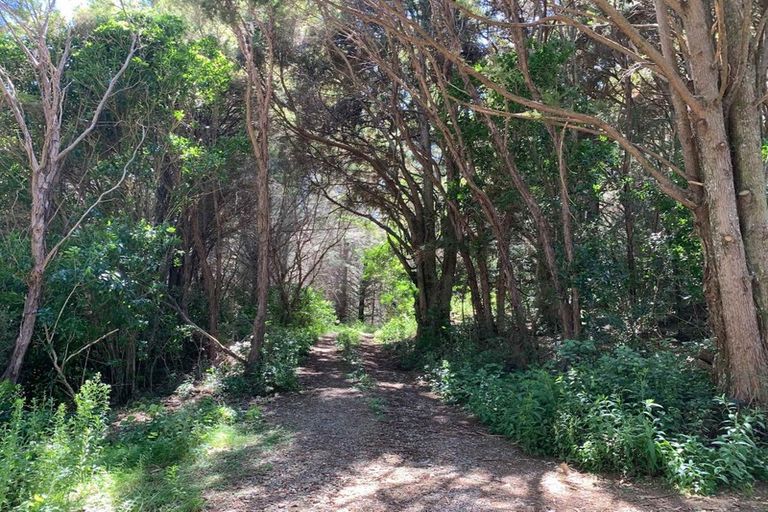 Photo of property in 443 East Takaka Road, East Takaka, Takaka, 7183