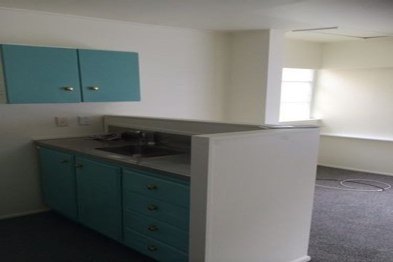 Photo of property in 43 Honiana Te Puni Street, Aro Valley, Wellington, 6021