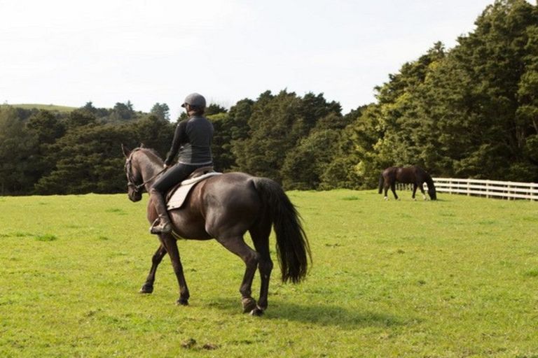 Photo of property in 1149b Whangaripo Valley Road, Whangaripo, Wellsford, 0972