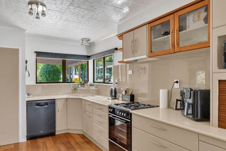 Photo of property in 4 Jellicoe Street, Mangapapa, Gisborne, 4010