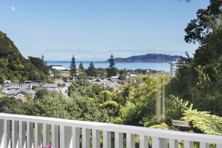 Photo of property in 11 Russo Terrace, Eastbourne, Lower Hutt, 5013