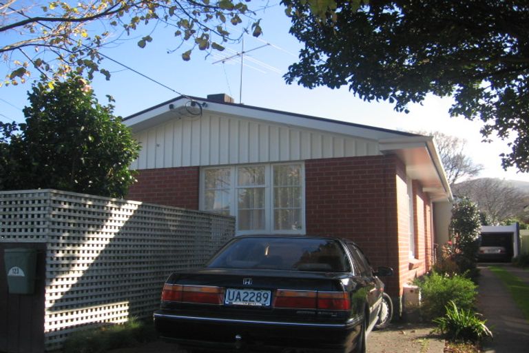 Photo of property in 123 Kings Crescent, Hutt Central, Lower Hutt, 5010