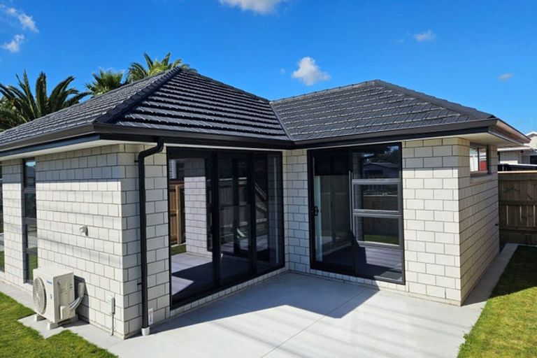 Photo of property in 5a Massey Street, Westown, New Plymouth, 4310