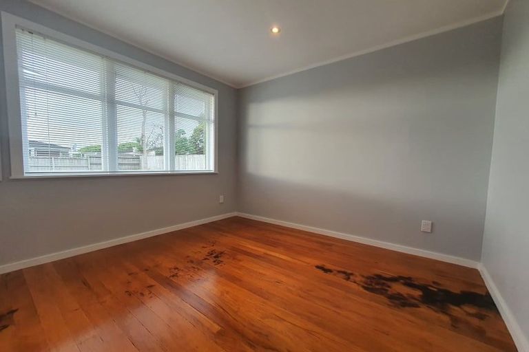 Photo of property in 9 Hinau Street, New Lynn, Auckland, 0600