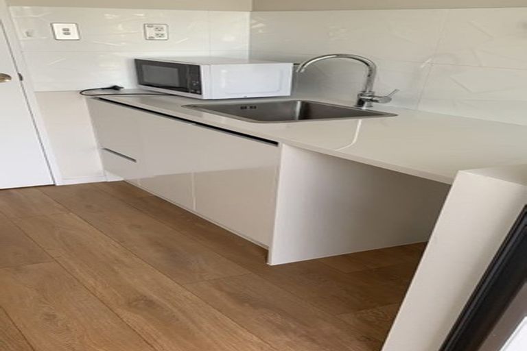 Photo of property in 24 Puoro Street, Flat Bush, Auckland, 2019