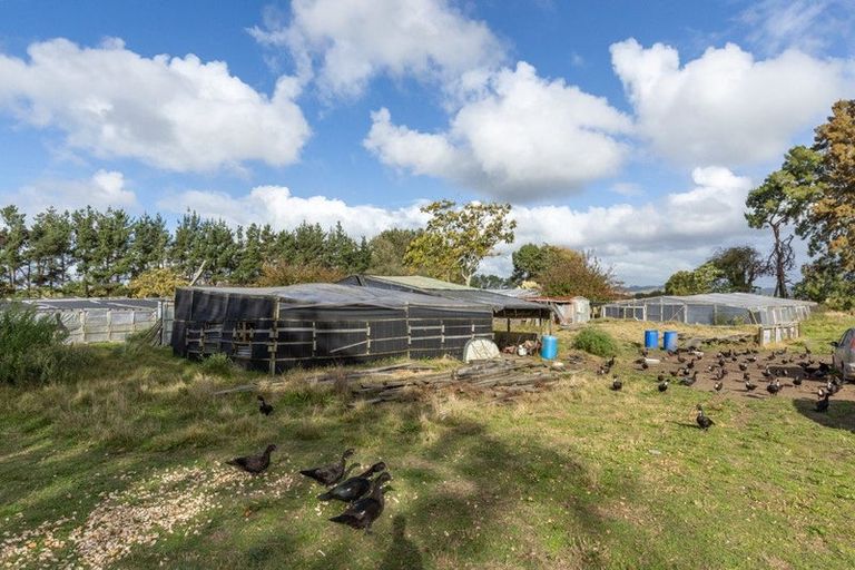 Photo of property in 206 Lumsden Road, Ohinewai, Huntly, 3771