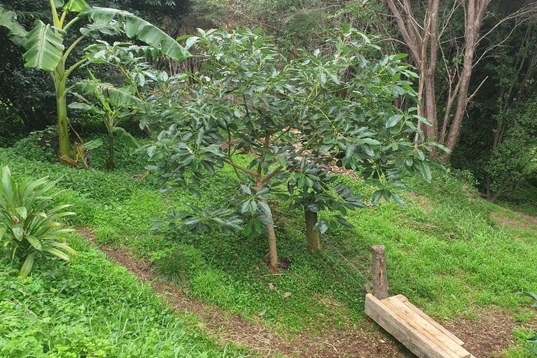 Photo of property in 17 Maddison Place, Welcome Bay, Tauranga, 3112