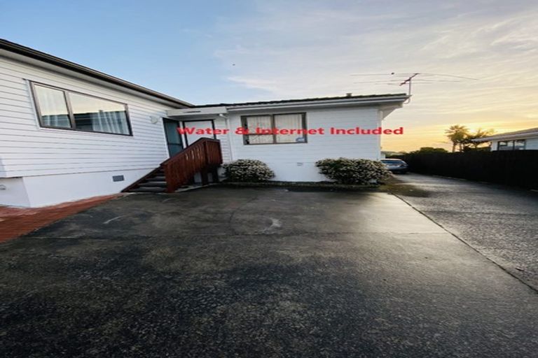 Photo of property in 49 Dissmeyer Drive, Clover Park, Auckland, 2019