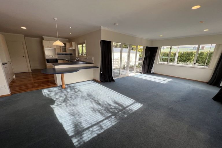 Photo of property in 54 Windsor Street, Terrace End, Palmerston North, 4410
