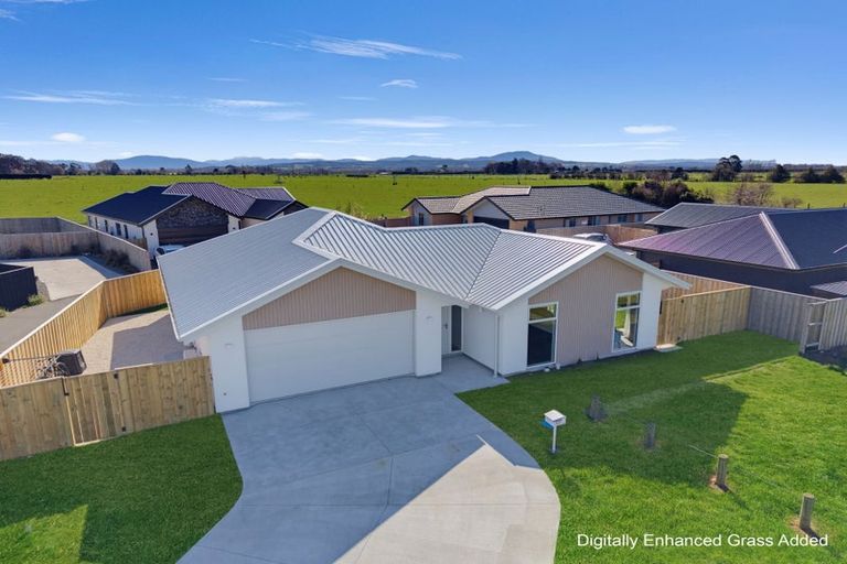 Photo of property in 37 Henshaw Street, Woodend, 7610
