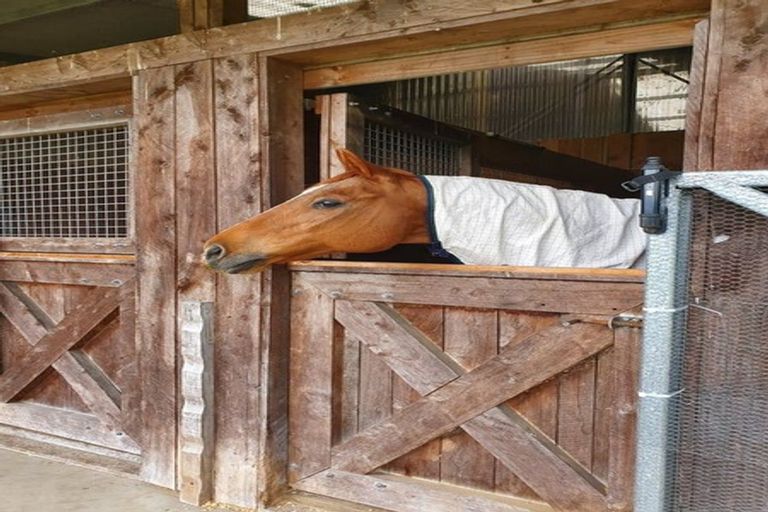 Photo of property in 568 Te Ngae Road, Owhata, Rotorua, 3010