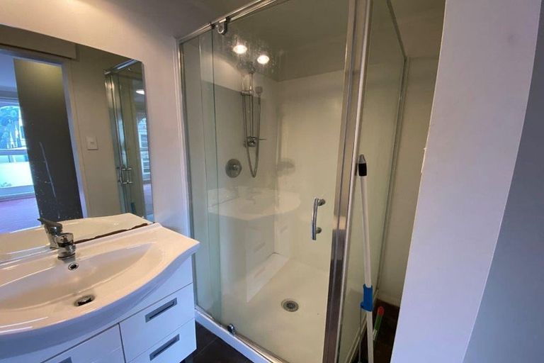 Photo of property in 223e The Terrace, Wellington Central, Wellington, 6011