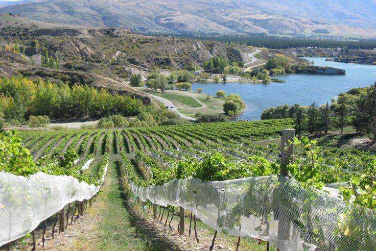 Photo of property in 1 Cairnmuir Crescent, Cromwell, 9310