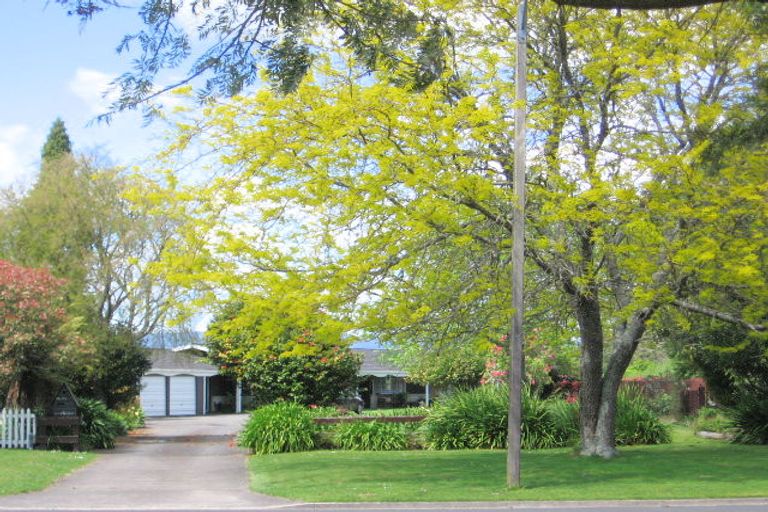 Photo of property in 78 Burwood Road, Matamata, 3400