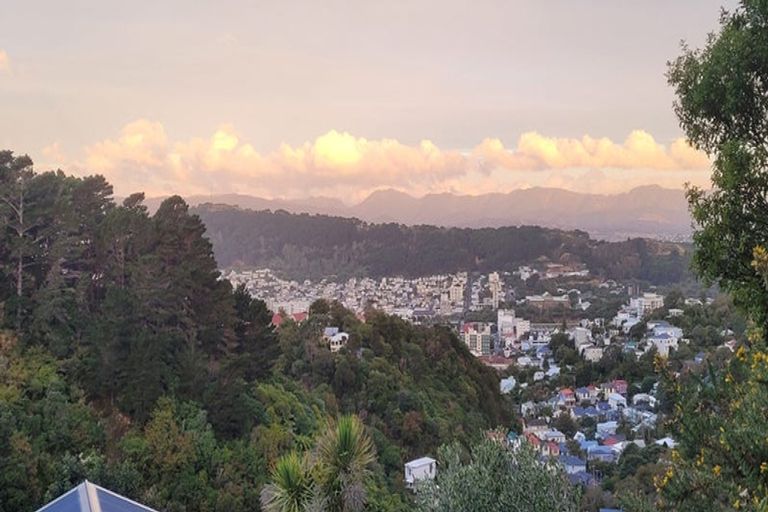 Photo of property in 152 Raroa Road, Aro Valley, Wellington, 6012