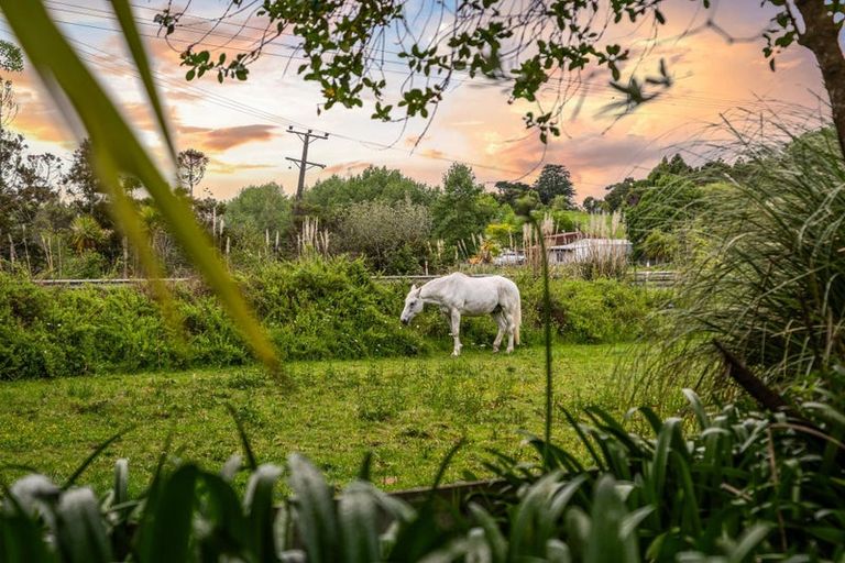 Photo of property in 438 Kaipara Coast Highway, Helensville, Kaukapakapa, 0871