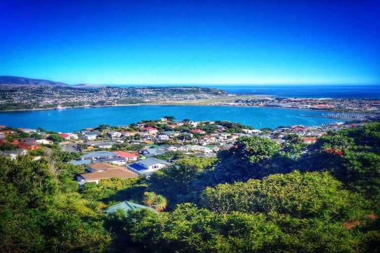 Photo of property in 19 Alexandra Road, Roseneath, Wellington, 6021