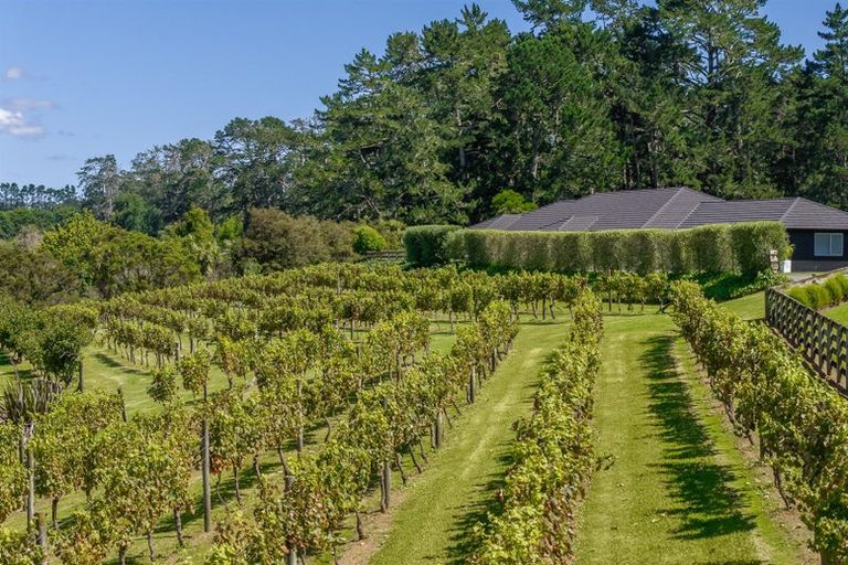 Photo of property in 583 State Highway 16, Kumeu, 0891