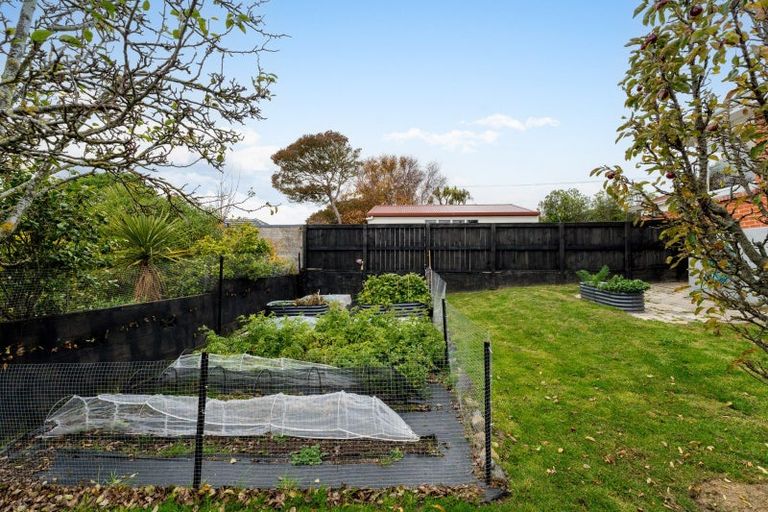 Photo of property in 43 Duckworth Street, Andersons Bay, Dunedin, 9013