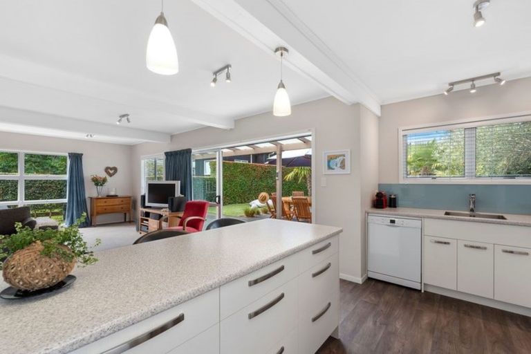 Photo of property in 34 Campbells Road, Pine Hill, Dunedin, 9010