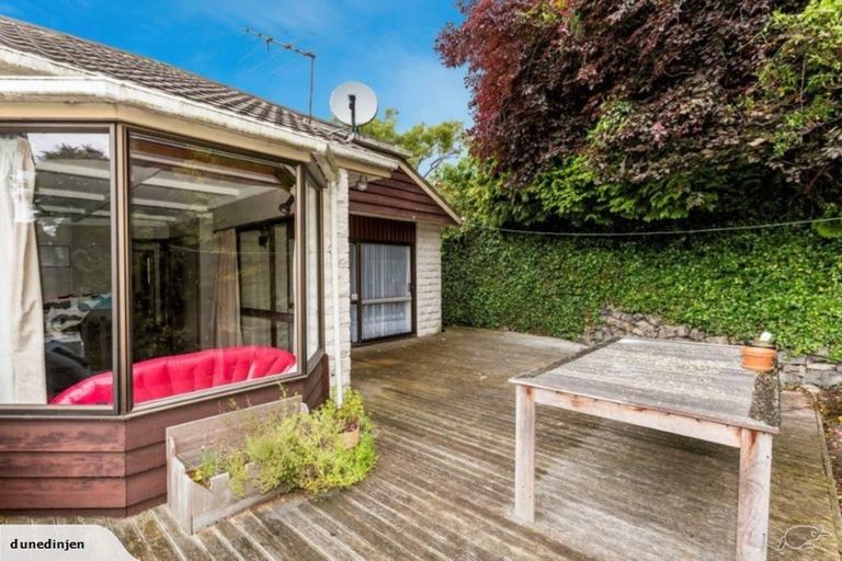 Photo of property in 36 Littlebourne Road, Roslyn, Dunedin, 9010