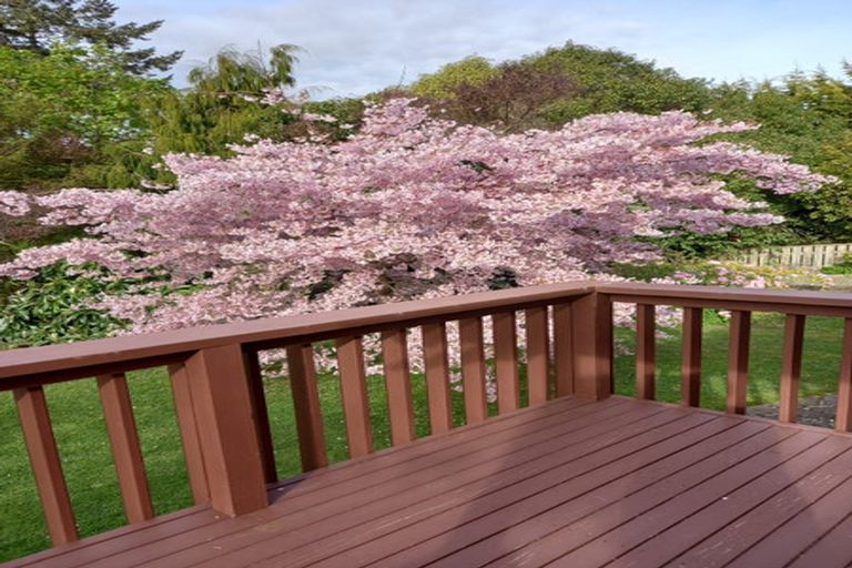 Photo of property in 17 Park View Avenue, Feilding, 4702